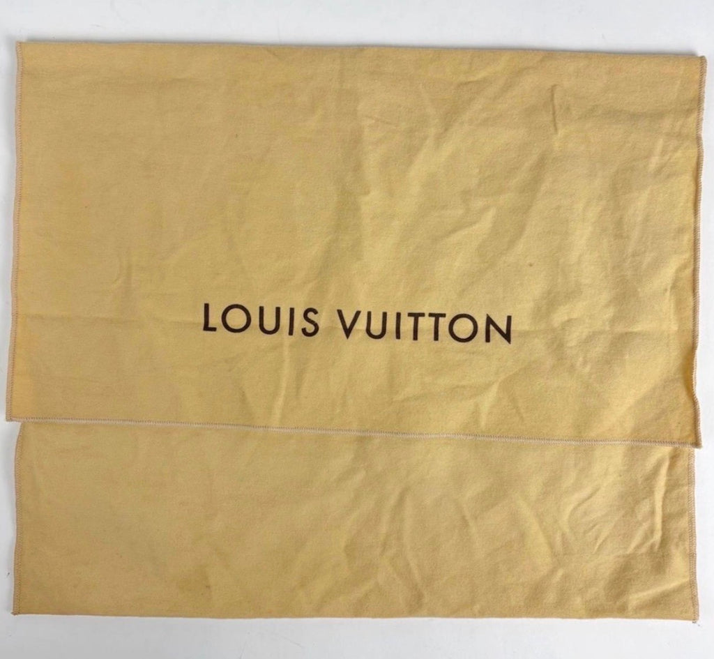 Vintage 2006 Louis Vuitton Monogram Denim Baggy PM Shoulder Bag