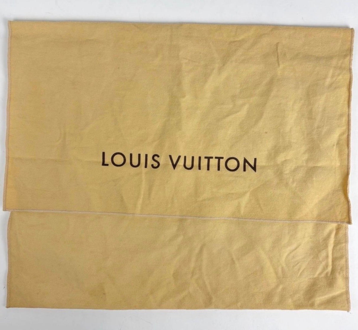 Vintage 2006 Louis Vuitton Monogram Denim Baggy PM Shoulder Bag
